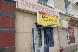 Стриж
