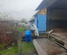 Бюро добрых услуг