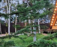 Отдых в Объятиях Природы и комфорта!