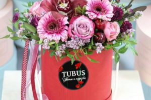 «TUBUS» (скидка 5%)