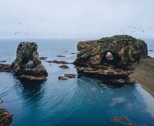 Тур-бизнес клуб АМИСТ