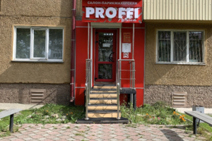 Proffi