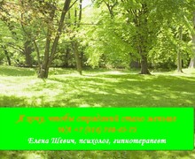 Психологический кабинет Елены Шевич