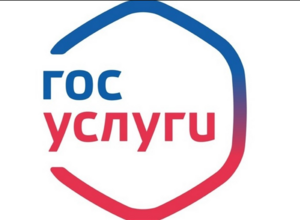 Госуслуги отключили кнопку удаления учётной записи