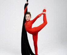 Студия воздушной акробатики DA Studio