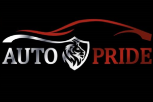 СТО AutoPraid65
