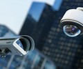ЧОПовцы обманули агропромышленное предприятие в Южно-Сахалинске на 1,8 млн рублей