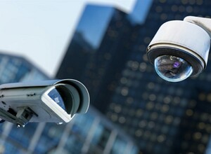 ЧОПовцы обманули агропромышленное предприятие в Южно-Сахалинске на 1,8 млн рублей