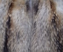 Творческая студия кожи и меха