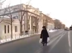 Сахалинка в шубе продолжает ходить только по разделительной полосе