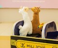 Подарки и сувениры для самых любимых!