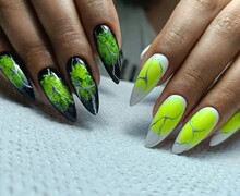 Каталея