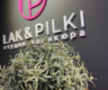 Lak&Pilki