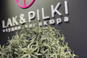 Lak&Pilki