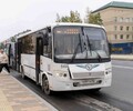 Еще два сезонных автобусных маршрута возобновят работу в Южно-Сахалинске