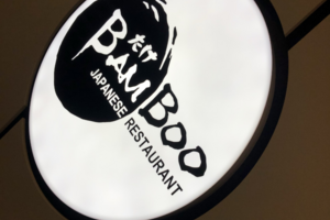 Bamboo
