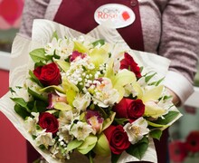 Candy Rose