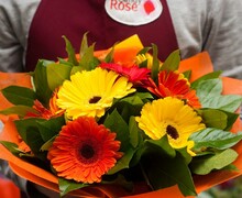 Candy Rose
