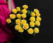 Candy Rose