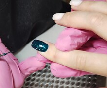Каталея