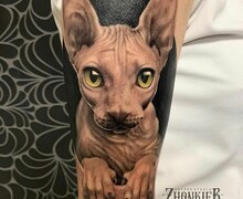 Тату студия  Zhonkier