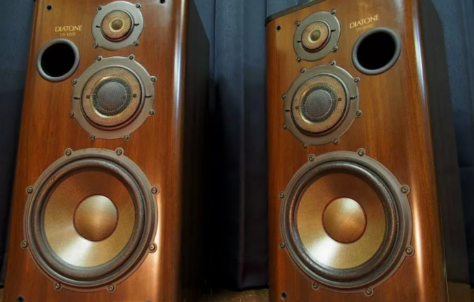 Diatone ds-1000z