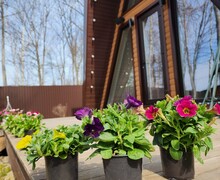 Загородный гостевой комплекс “A-Frame Сахалин (Скидка 5%)