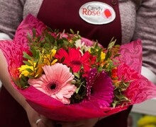 Candy Rose